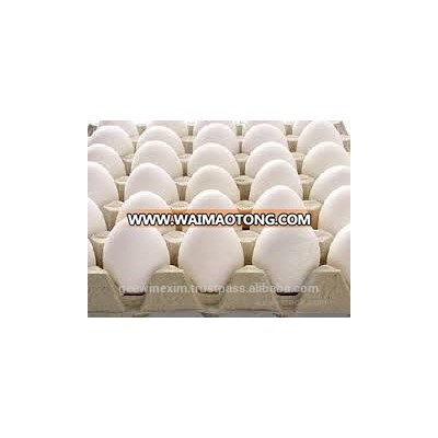 Chicken Egg Supplier From Tamilnadu